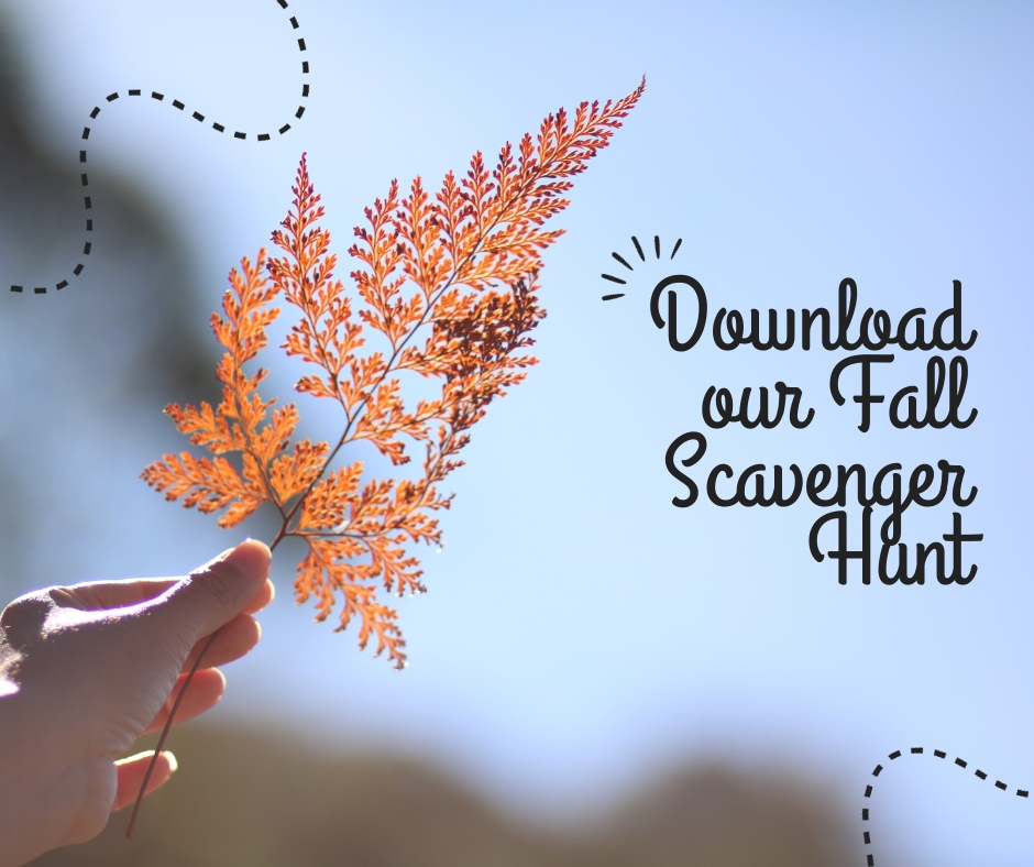 Image of a child's hand holding a brown leaf. 