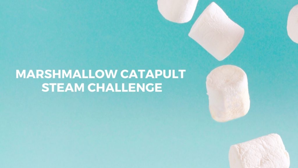 Marshmallow Catapult STEAM Challenge